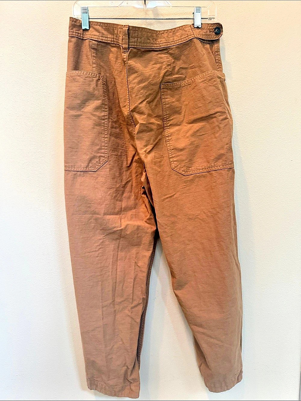 Everlane The Organic Utility Pant Women's Pants Brown Size 12